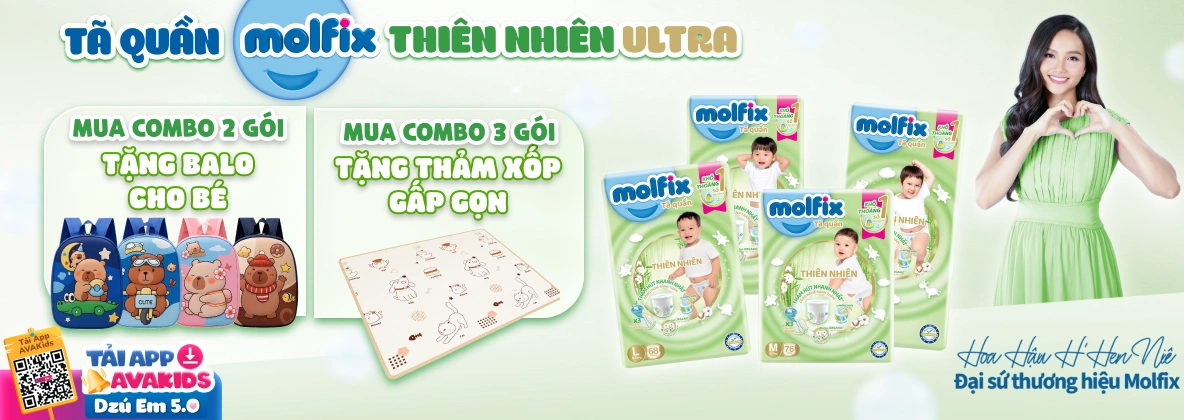 Banner Molfix